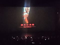 -重庆国泰艺术中心