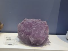 -重庆自然博物馆(新馆)