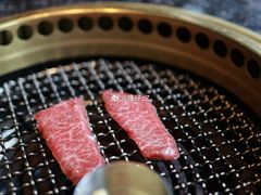 -老乾杯和牛烧肉(王府中环店)
