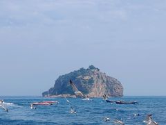 -棒棰岛宾馆景区