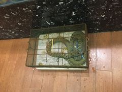 -红城阁·上海味道(四平路店)