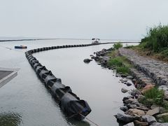 -合肥滨湖国家森林公园