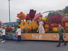 -荷兰花海