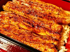 -料亭菊水楼