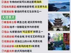 -崇圣寺三塔文化旅游区