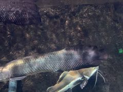 -太平洋海底世界