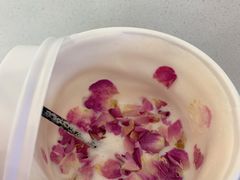 -Lady M(沙田新城市广场店)