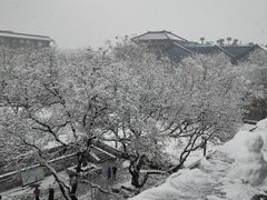 -西安城墙·碑林历史文化景区