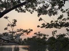 -新江湾城公园