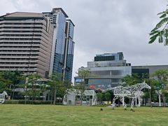 -紫马岭公园