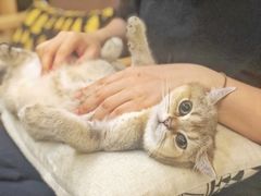 -拾壹cafe·工作室