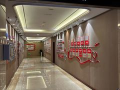 -郑州新郑国际机场T2航站楼-贵宾厅B区