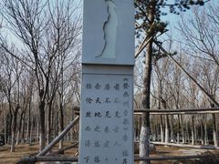 -大兴滨河森林公园