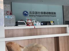 -北京派仕佳德动物医院·超导核磁·CT·神经科·骨科·内外科·急重症管理中心