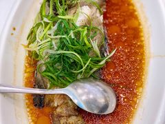 清蒸石斑鱼-金翠皇宫粤菜·点心·海鲜(科技园店)