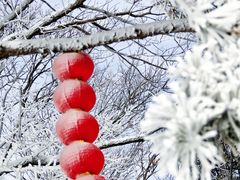 -沂蒙山旅游区云蒙景区(蒙山国家森林公园)