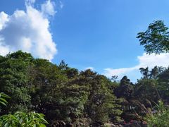 -增城大丰门漂流