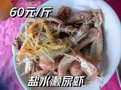 -大湾区中央湿地公园-十九涌