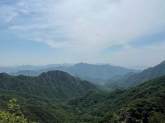 -大岭沟猕猴桃谷风景区