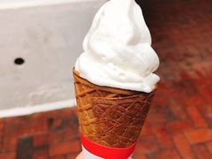 -富豪雪糕车流动点(尖沙咀店)