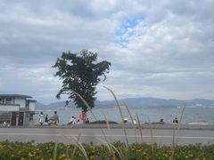 -大理洱海