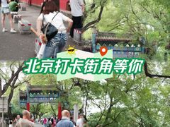 -北京国子监胡同