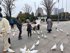 -成都欢乐谷