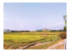 -光明小镇欢乐田园