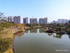 -王借岗森林公园