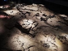 -自贡恐龙博物馆