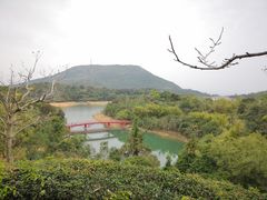 -东部华侨城