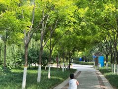 -南翠屏公园