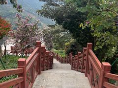 -广州市石门国家森林公园