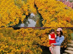 -广州市石门国家森林公园