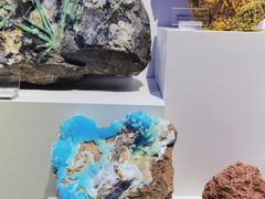 -重庆自然博物馆(新馆)