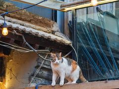 -后海16号·北京私房菜