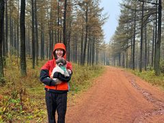 -塞罕坝国家级自然保护区