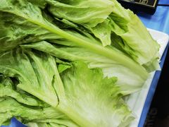 -同顺鹅庄(南华路店)