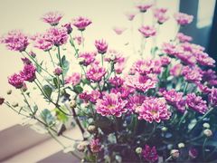 -爱尚花坊(大林路店)