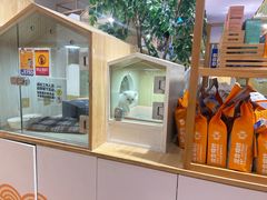 -屋虎猫馆(宝安大仟里店)