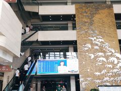 -浙江大学医学院附属邵逸夫医院(钱塘院区)