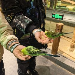 -酷嗒动物文化乐园(cutezoo西溪乐天城店)