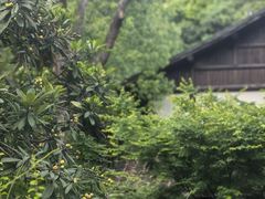 -杭州植物园
