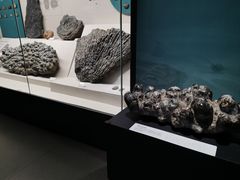 -柳州白莲洞洞穴科学博物馆