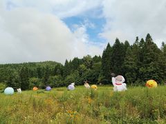 -武陵山森林公园