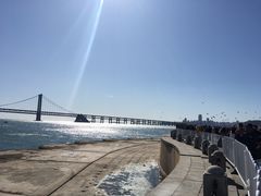 -星海湾跨海大桥