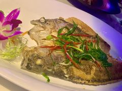 -JUKEBOX玖部音乐餐厅(华侨城店)