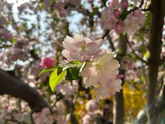 -元大都城垣遗址公园