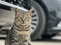 -三江森林温泉度假区