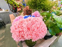 -花里花店(唐镇阳光天地店)